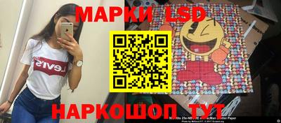 индика Будённовск