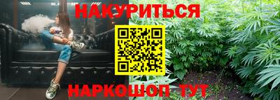 индика Будённовск