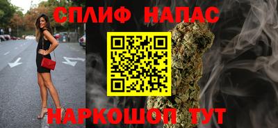 индика Будённовск