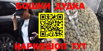 индика Будённовск