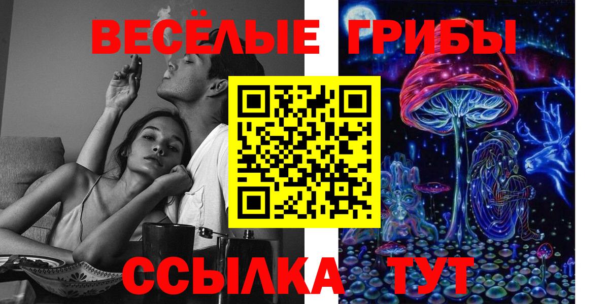 Галлюциногенные грибы Cubensis  Вход с VPN  Петрозаводск 